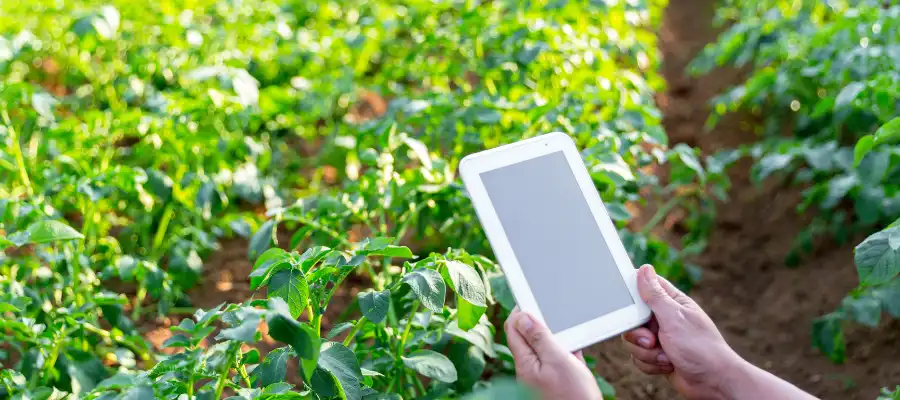 Pantau Puluhan Hektar Pertanian Lewat Smartphone! Ini IoT Agriculture