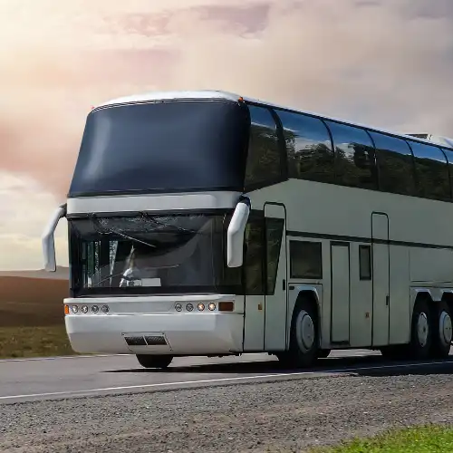bus pariwisata