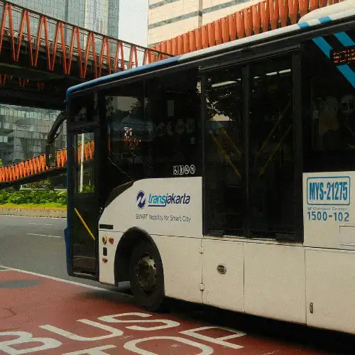 bus tj