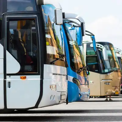 bus